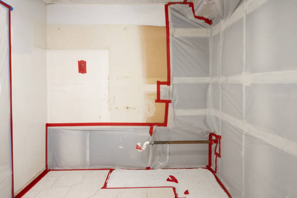 Best Mold-Related Health Consultation  in Maysville, GA