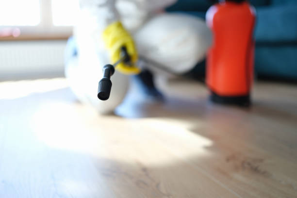 Best Real Estate Mold Inspection  in Maysville, GA