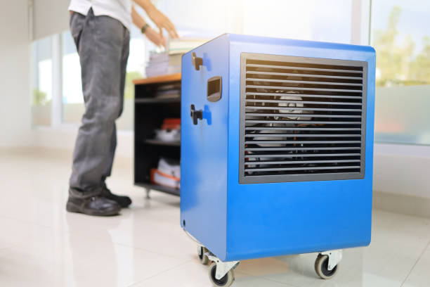 Best Attic Mold Removal  in Maysville, GA
