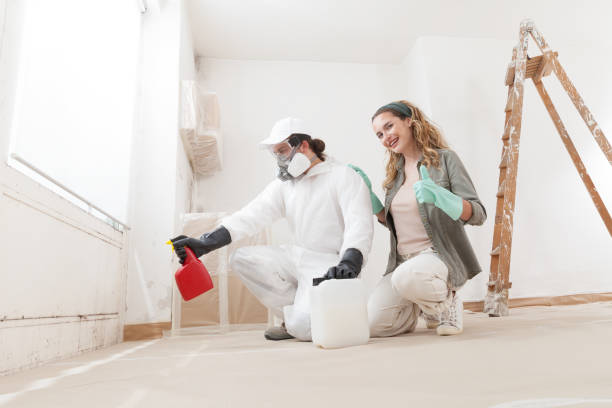 Dehumidification Services in Maysville, GA