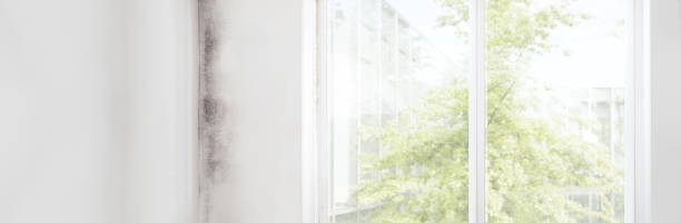 Best Forensic Mold Investigation  in Maysville, GA