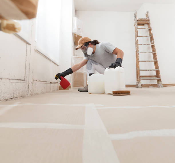 Best Dehumidification Services  in Maysville, GA
